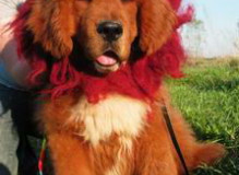 341.jpg