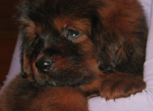 boy3.jpg