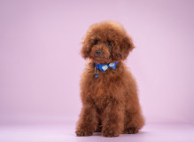 DSC04474-_resized.jpg
