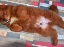 DSC_1312.JPG