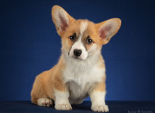 IMG_9049.jpg