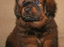 b5.jpg